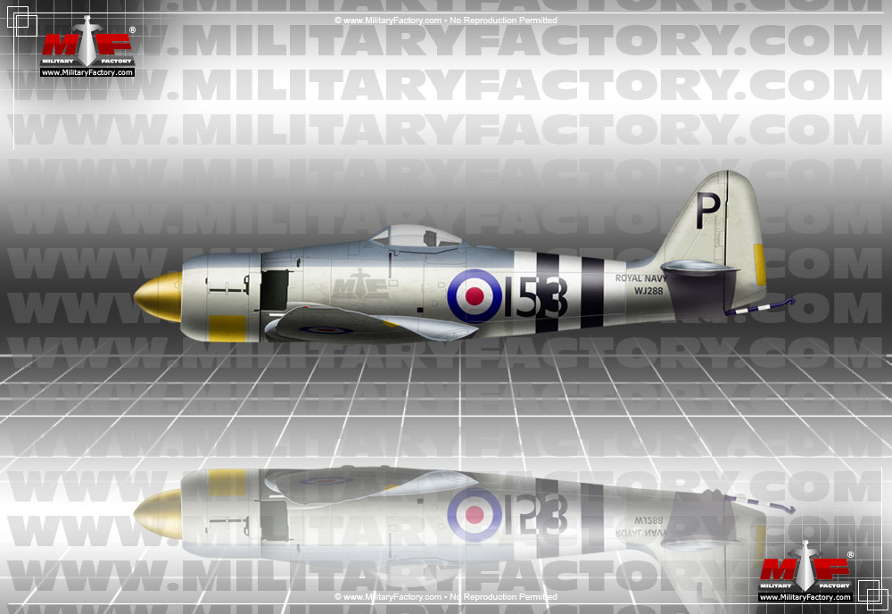 Image of the Hawker Sea Fury / Fury