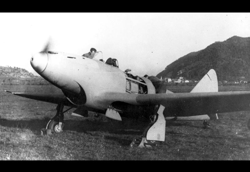 Image of the Piaggio P.119