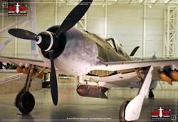 Picture of the Focke-Wulf Fw 190 (Wurger)