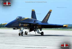 Blue Angels F/A-18 Hornet