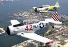 Picture of the North American T-6 Texan