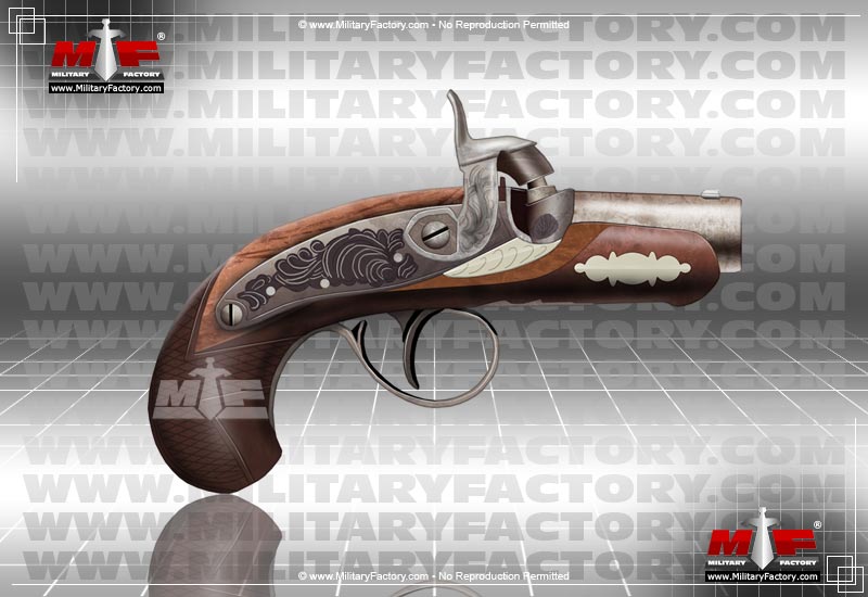 Image of the Deringer (Derringer Pocket Pistol)