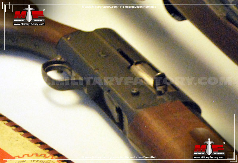 Image of the Savage Arms M720