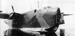 Image of the Blohm and Voss Bv 238