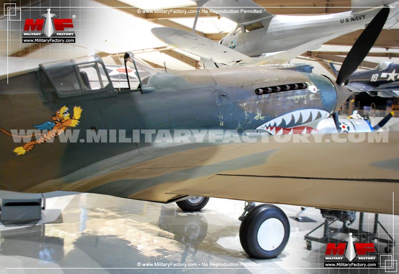 Image of the Curtiss P-40 Tomahawk
