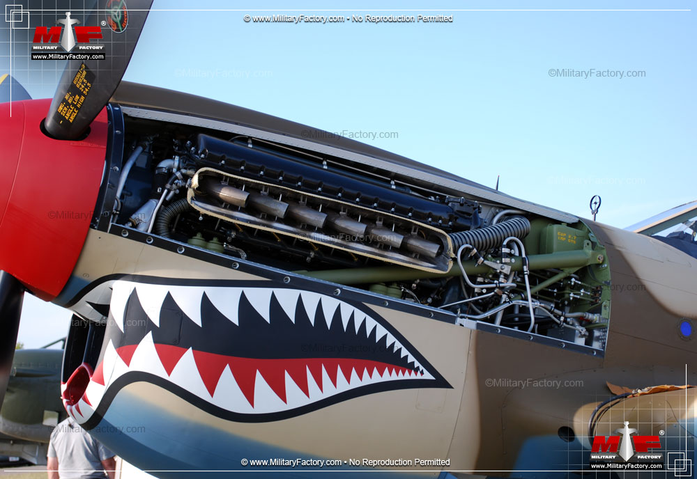 Image of the Curtiss P-40 Warhawk