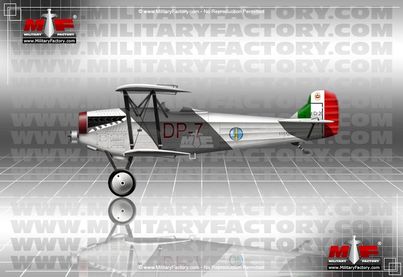 Image of the Fiat Cr.20