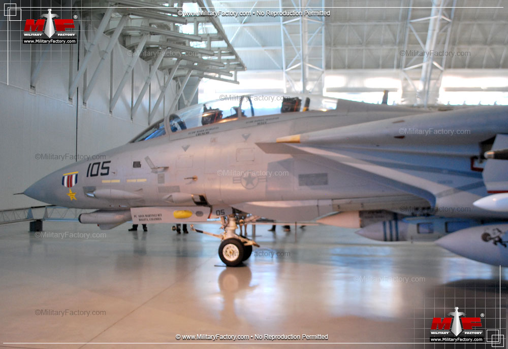 Image of the Grumman F-14 Tomcat