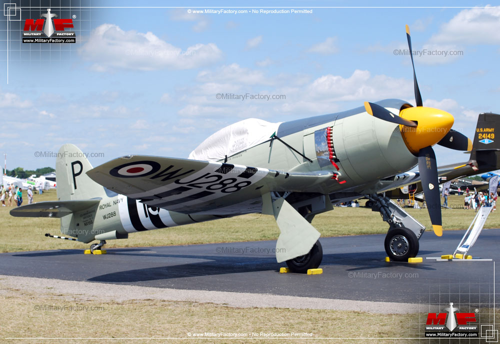 Image of the Hawker Sea Fury / Fury