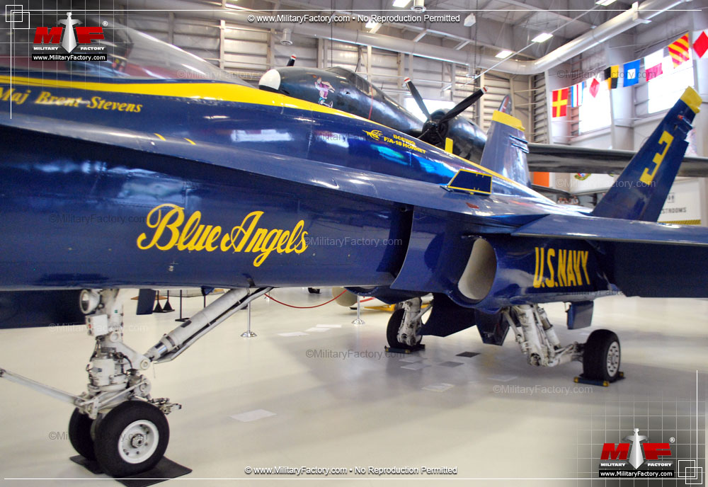 Image of the Boeing (McDonnell Douglas) F/A-18 Hornet