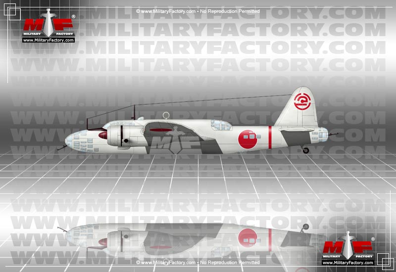 Image of the Nakajima Ki-49 Donryu (Helen)