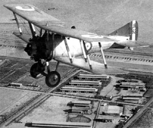 Image of the Nieuport Nighthawk