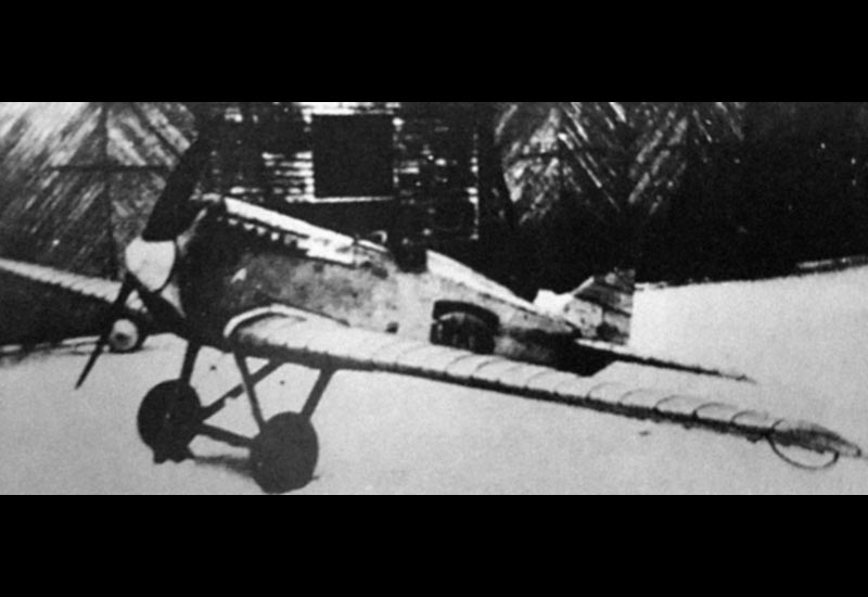 Image of the Polikarpov I-1
