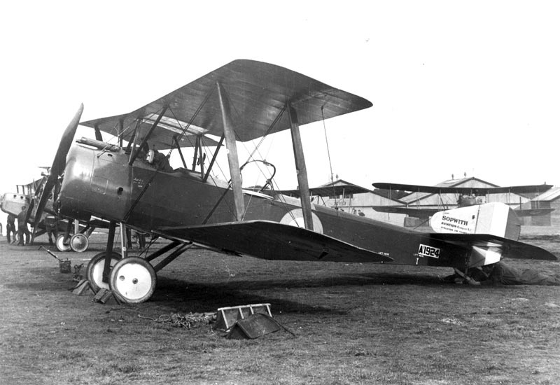 Image of the Sopwith 1-1/2 Strutter (One-and-One-Half Strutter)