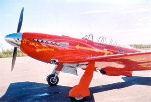 Image of the Yakovlev Yak-9 (Frank)