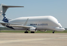 Picture of the Airbus A300-600 (Beluga)