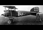 Picture of the Albatros D.I