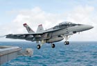 Picture of the Boeing F/A-18 Super Hornet