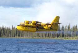 Picture of the Canadair CL-215