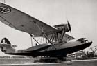 Picture of the CANT Z.501 Gabbiano (Gull)