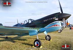 Picture of the Curtiss P-40 Warhawk