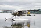 Picture of the de Havilland Canada DHC-2 Beaver