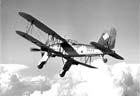 Picture of the Fieseler Fi 167