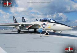 Picture of the Grumman F-14 Tomcat