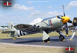 Picture of the Hawker Sea Fury / Fury