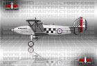 Picture of the Hawker Fury (I / II)