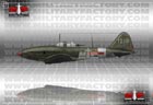 Picture of the Ilyushin IL-10 (Beast)