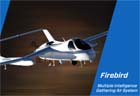 Picture of the Northrop Grumman (Scaled Composites) Firebird