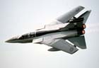 Picture of the Panavia Tornado ADV (Air Defense Variant)