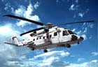 Picture of the Sikorsky CH-148 Cyclone