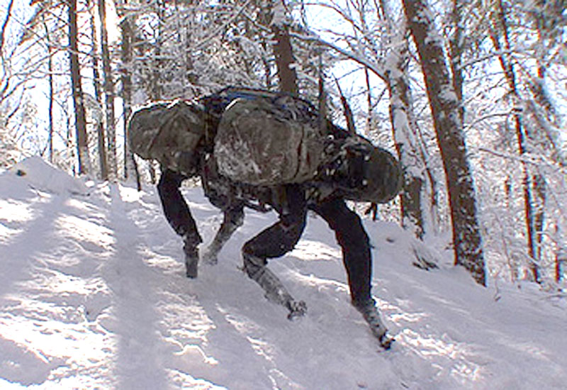 Image of the Boston Dynamics BigDog