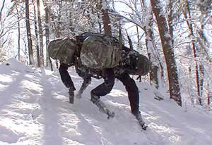 Picture of the Boston Dynamics BigDog