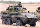 Picture of the General Dynamics AVGP (Armoured Vehicle, General Purpose)