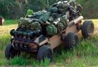 Picture of the MULE (Multifunction Utility / Logistics and Equipment)