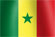 National flag of the country of Senegal (image)
