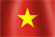 National flag of the country of Vietnam (image)