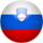 Slovenian National Flag