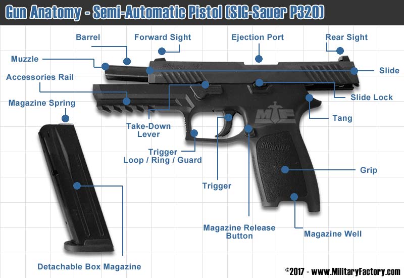 handgun Anatomy