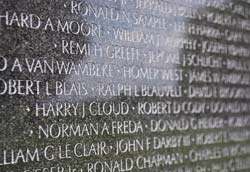 Vietnam Memorial in detail
