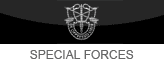 Military lapel ribbon representing special forces