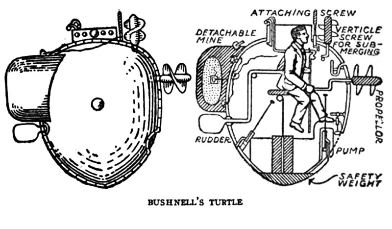 Image of the Bushnell Turtle