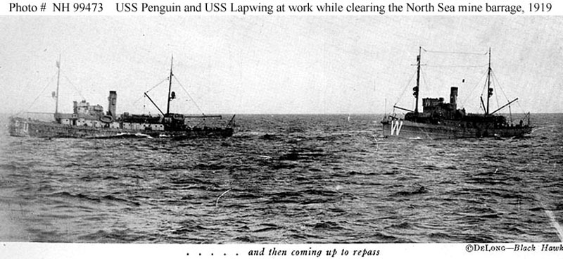 Image of the USS Lapwing (AM-1)