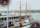 Picture of the USCGC Eagle (WIX-327)