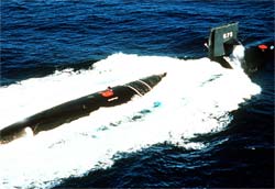 Picture of the USS Bluefish (SSN-675)