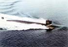 Picture of the USS Permit (SSN-594)