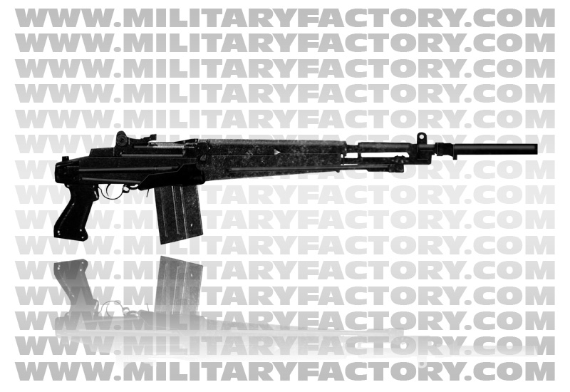 Image of the Beretta Model 59 (BM59)